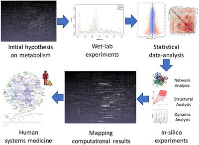 Metabolic Reprogramming and Reconstruction: Integration of Experimental and Computational Studies to Set the Path Forward in ADPKD